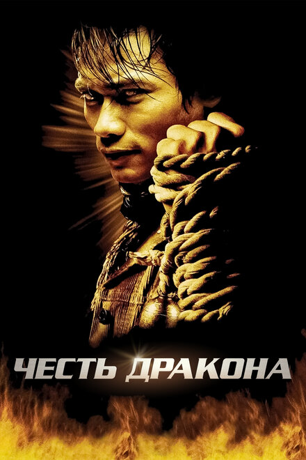 Честь дракона (2005)