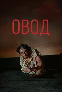 Овод Овод