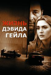 Жизнь Дэвида Гейла (2002)