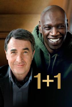 1+1 1+1