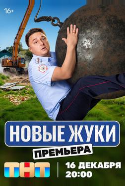 Жуки Жуки