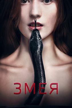 Змея Змея