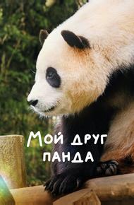 Мой друг панда (2024)
