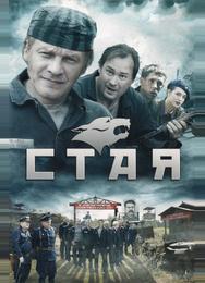 Стая