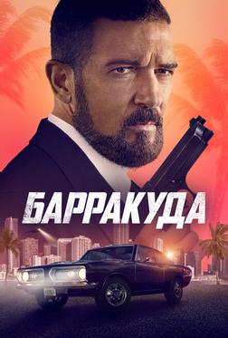 Барракуда Барракуда