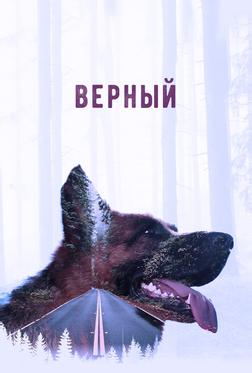 Верный Верный