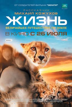 Жизнь Жизнь