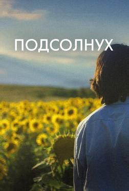 Подсолнух Подсолнух