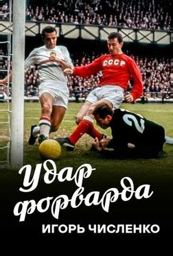 Игорь Численко. Удар форварда Игорь Численко. Удар форварда