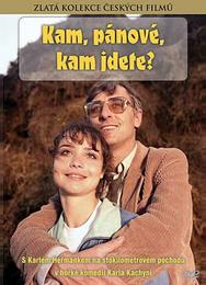 Куда, товарищи, куда идете?