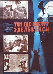 Там, где цветут эдельвейсы