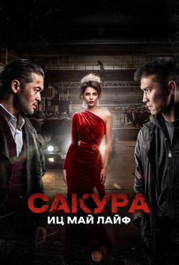 Сакура. Иц май лайф Сакура. Иц май лайф