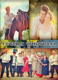 Гроздья винограда