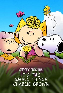It's the Small Things, Charlie Brown It's the Small Things, Charlie Brown