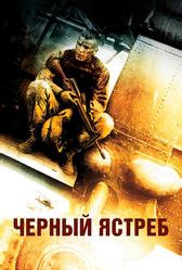 Черный ястреб (2001)