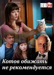 Котов обижать не рекомендуется
