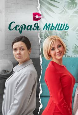 Серая мышь Серая мышь