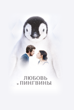 Любовь и пингвины Любовь и пингвины