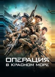 Операция в Красном море