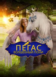 Пегас: Волшебный пони